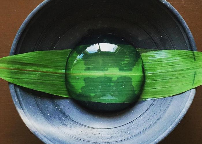  En gjennomsiktig kule Av Japansk regndråpe kake sitter på et grønt blad, belagt enkelt og elegant